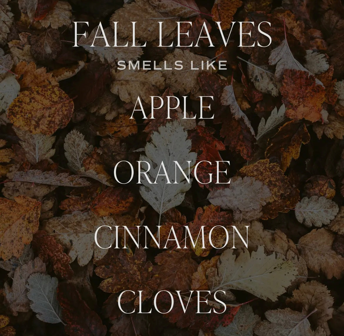 Fall Leaves Soy Candle - 9 oz