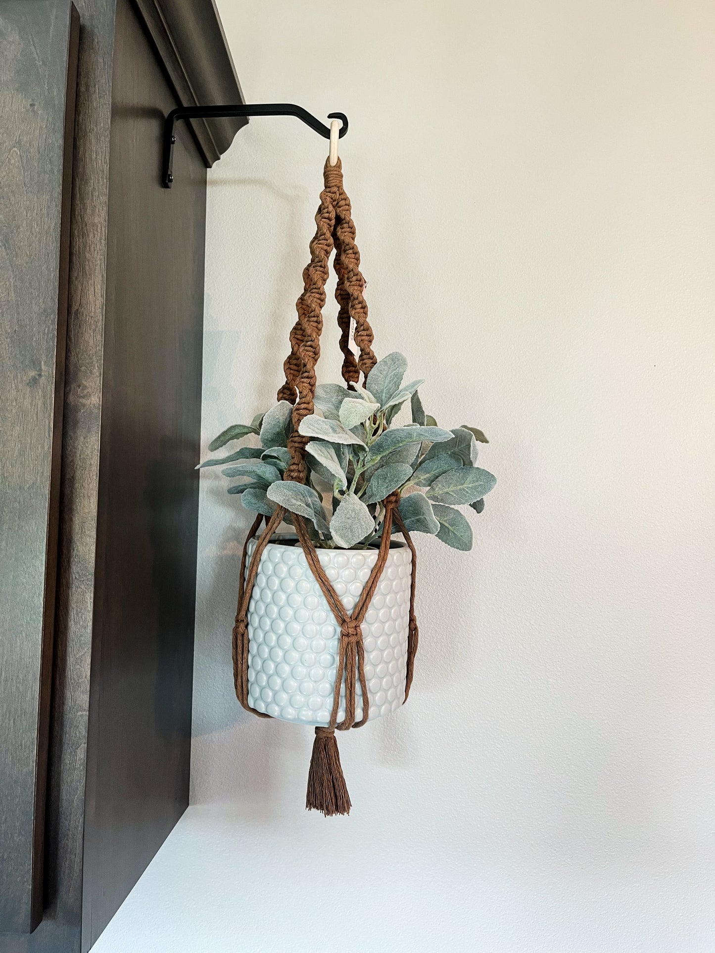 Spiral Plant Hanger