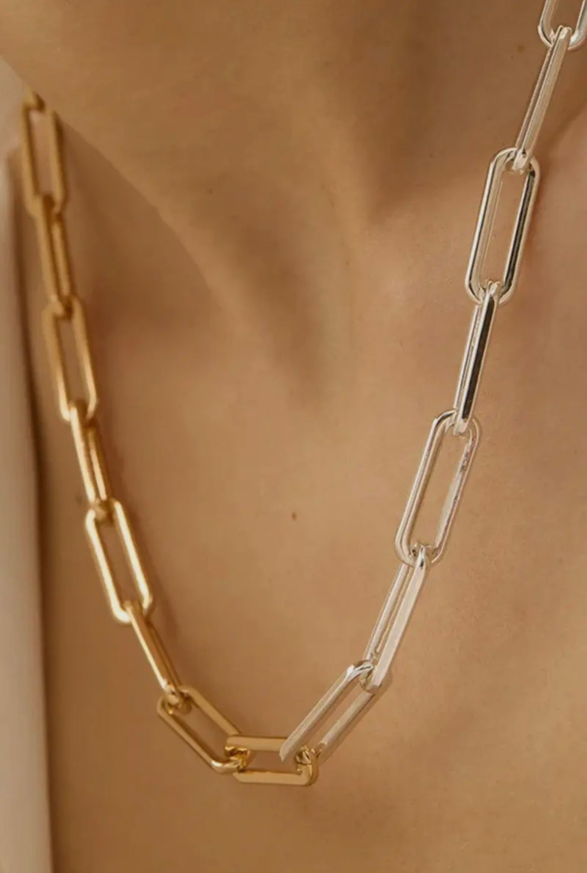 Two Tone Paper Clip Necklace