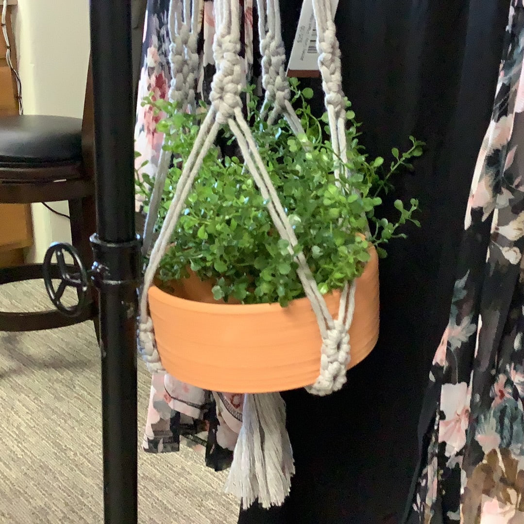 Pots & Plants
