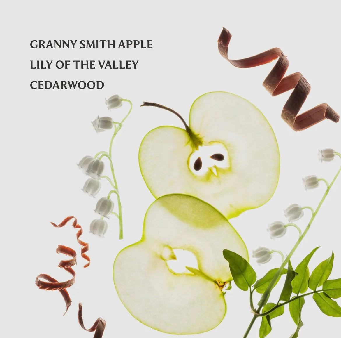 Touchland Hand Sanitizer